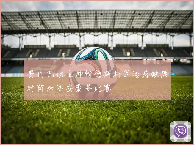 费内巴切主帅特德斯科因治疗缺席对阵加济安泰普比赛