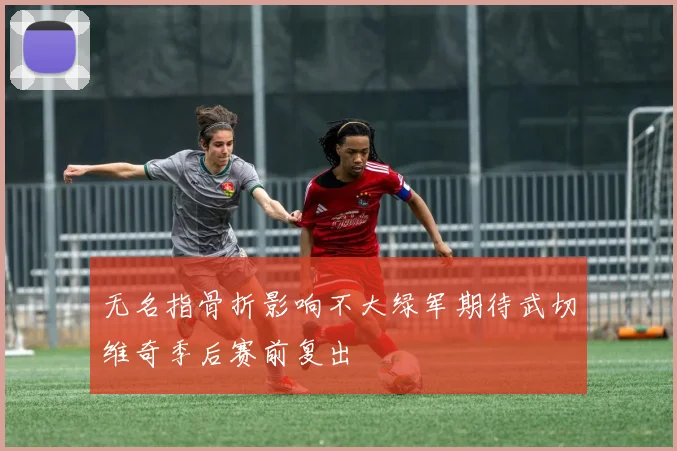 无名指骨折影响不大绿军期待武切维奇季后赛前复出